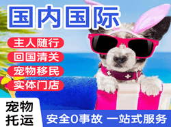 阿尔山机场货运国际宠物托运 【国